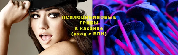 эйфоретик Алзамай