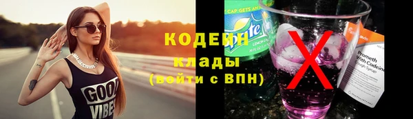 эйфоретик Алзамай